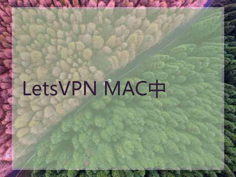 LetsVPN MAC中