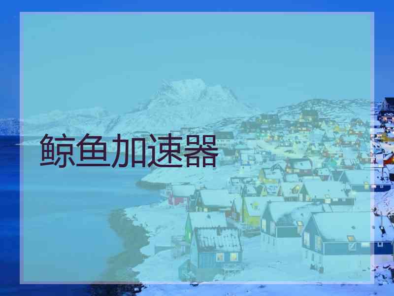 鲸鱼加速器
