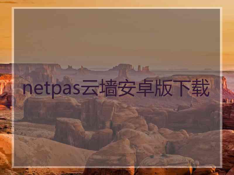 netpas云墙安卓版下载