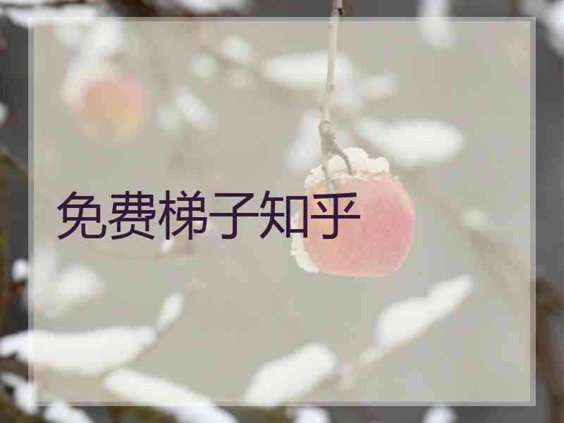 免费梯子知乎