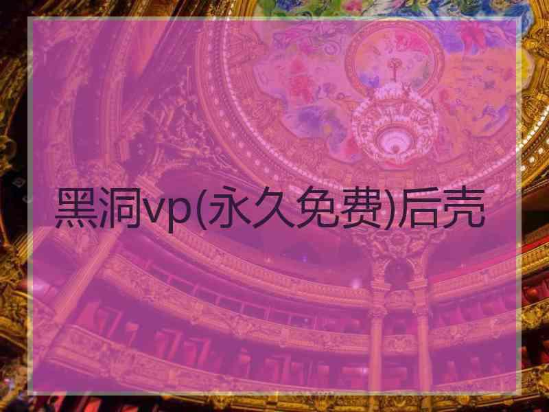 黑洞vp(永久免费)后壳