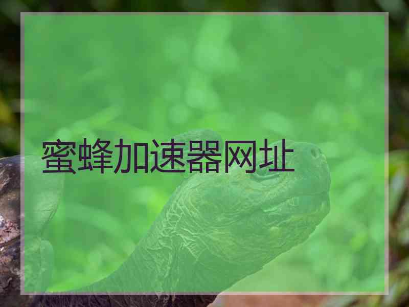 蜜蜂加速器网址