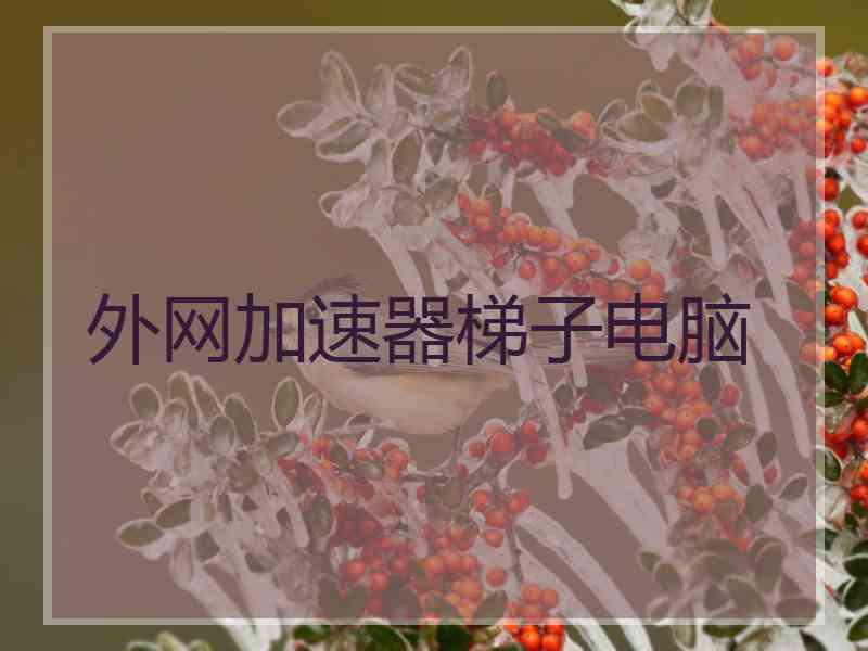 外网加速器梯子电脑