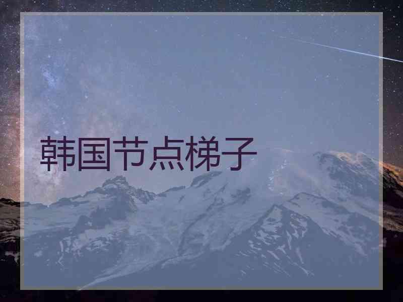 韩国节点梯子