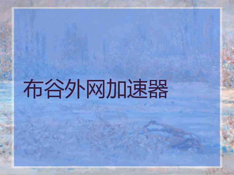 布谷外网加速器