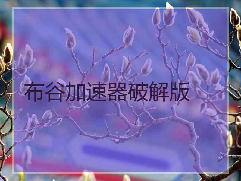 布谷加速器破解版