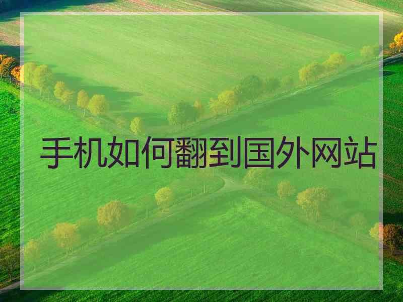手机如何翻到国外网站