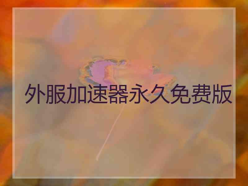 外服加速器永久免费版
