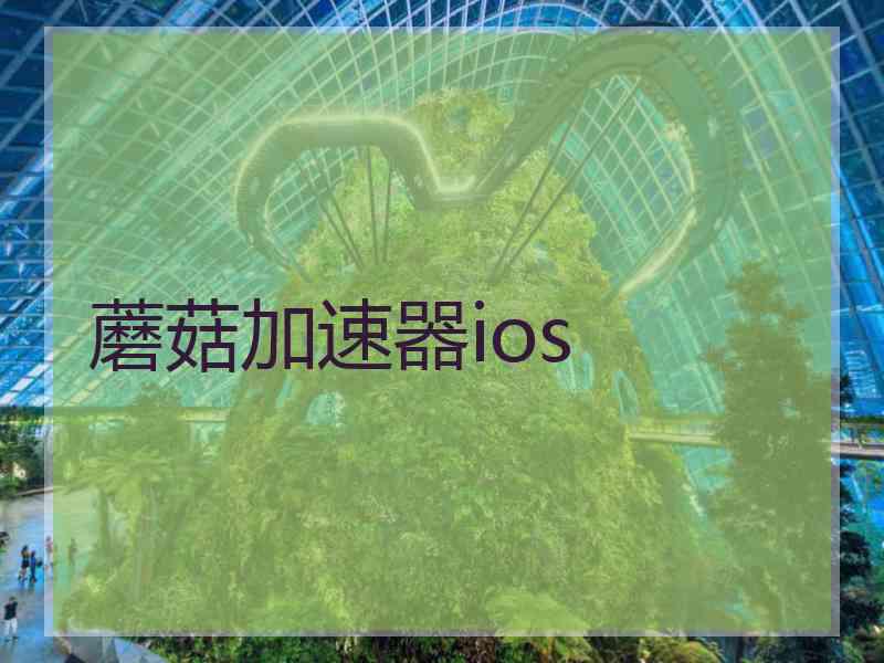 蘑菇加速器ios