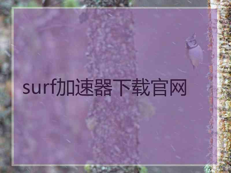 surf加速器下载官网