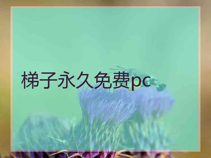 梯子永久免费pc