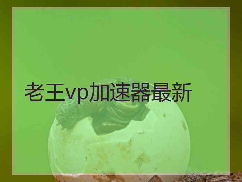 老王vp加速器最新