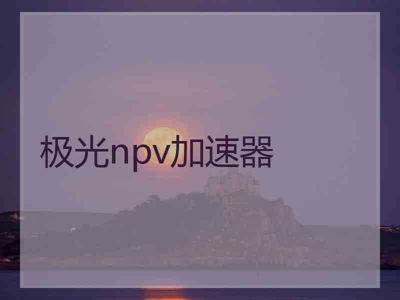 极光npv加速器